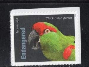 5799D * LORO DE FACTURA GRUESA * ESPECIES EN PELIGRO DE EXTINCIÓN * Sello postal de EE. UU. MNH - Imagen 1 de 1