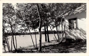 RPPC Crest Resort Birch Trees • Crosslake Minnesota • Posted 1950 - Bild 1 von 2