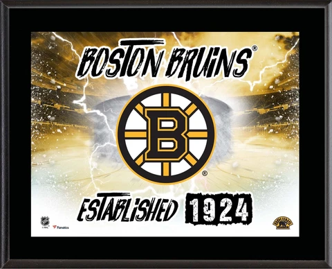 Bruins 10.5x13 Horizontal Team Logo Plaque - Fanatics Authentic Cover