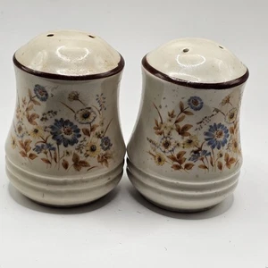 Salt And Pepper Shakers Vintage Retro Floral Country Core Japan Speckled - Picture 1 of 6