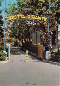 23-151E) TRIESTE GROTTA GIGANTE VIALETTO D'INGRESSO - Picture 1 of 2