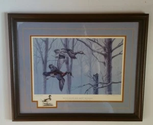 Wood Ducks And Misty Shadows 1st Edition 1988 Numbered Signed Bob Gillespie - Picture 1 of 5