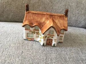 Toni Raymond Pottery English Cottage House Hand Painted Money Box England Gift - Picture 1 of 5