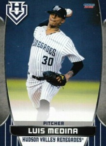 2021 Choice Hudson Valley Renegades #17 Luis Medina Rookie New York Yankees