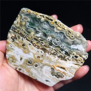 Rare 129G Natural Orbicular Ocean Jasper Rough Stone Healing Madagascar QT89 - Picture 1 of 18