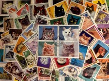 c (A048) Piccolo lotto 100 francobolli di tutto il mondo dedicati a CANI e GATTI