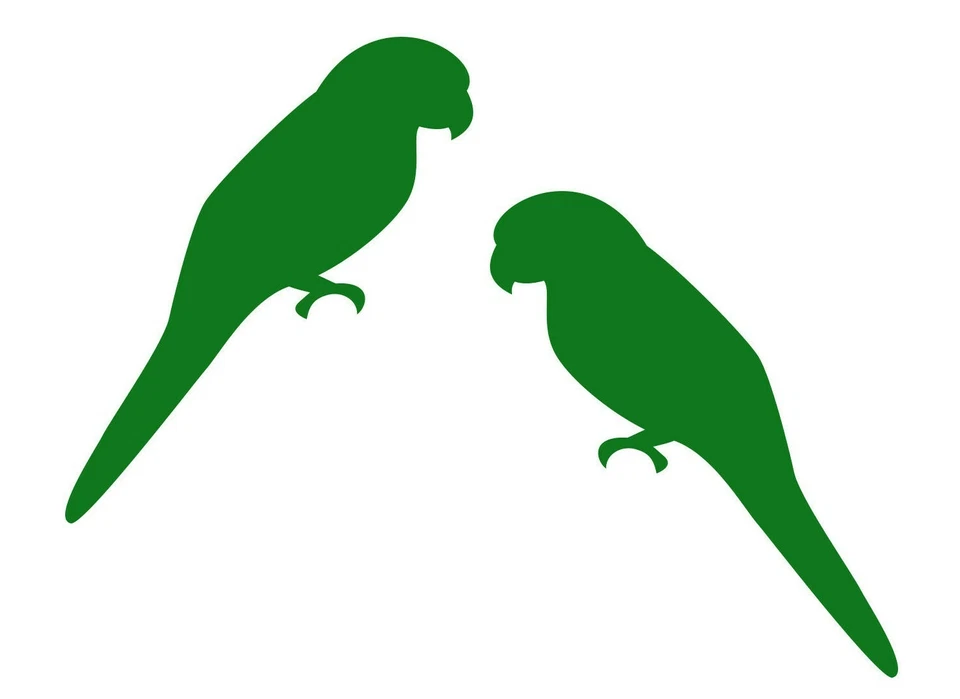 Parrot  Sticker - 2 Pack  of Bird Decals - Image 1 of 1
