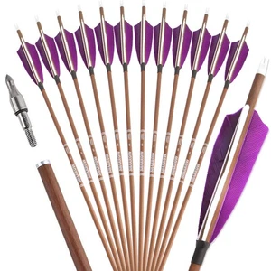 31" Pure Carbon Arrows SP340 400 500 600 Feathers Compound Recurve Bow Hunting - Picture 1 of 28