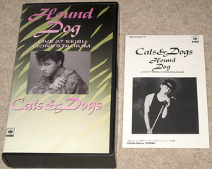 CATS & DOGS - Hound Dog Live At Seibu Lions Stadium JAPAN VHS CBS/SONY (1985)