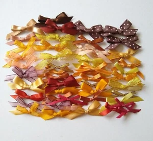 Bow Bundle Shades Of Autumn 50 Assorted Bows Various Widths & Types - Picture 1 of 5