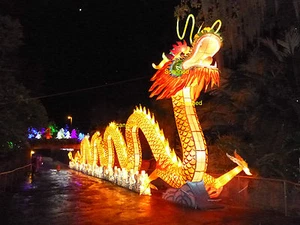 LOWRY PARK ZOO Chinese Lantern Festival ZOOMINATIONS 2015 Tampa Florida - Picture 1 of 1