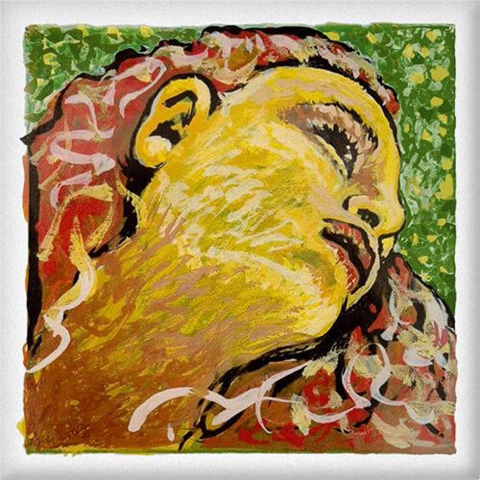 Corda Pirastro Evah Pirazzi Neo D - violino 4/4, argento, caldo e potente - Immagine 1 di 1