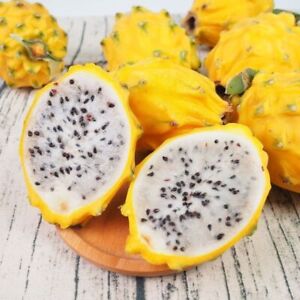 200 Yellow Pitaya Seeds Dragon Fruit Seed Organic Fruit Heirloom
