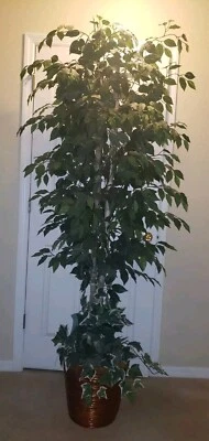 6' Artificial Ficus Silk Tree Potted Plant Decor- LOCAL PICKUP ONLY-ORLANDO! - Image 1 of 3