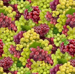 Food Festival Fabric - Digital Print Packed Grapes - Elizabeth's Studio YARD - Picture 1 of 1