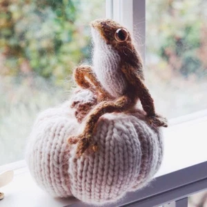 KIT DE TEJIDO Rana para tejer TRES ranas - Patrón Claire Guirland Punto Guijarros Tejidos - Imagen 1 de 4