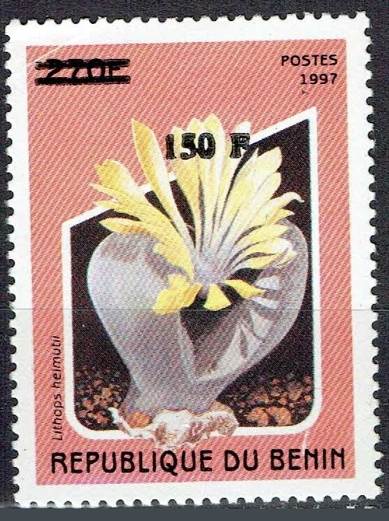 BENIN 2000 1295 150F 100€ LITHOPS HELMUTII CACTUS FLOWER OVERPRINT SURCHARGE MNH - Image 1 of 1