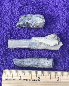3 LOT of Fine PETRIFIED WOOD Small Fossil mineral rock collectible decor display - Picture 1 of 4