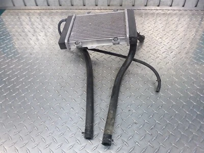 09 Hyosung MS3 250 Radiador Refrigerante Manguera Líneas Sensor de Temperatura Foto 1 de 4