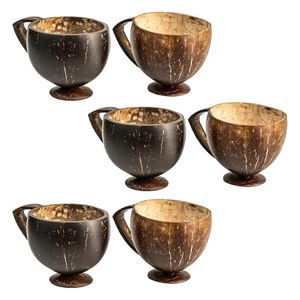 (Juego de 6) Taza de té natural con cáscara de coco de 200 ml para regalo de jugos y bebidas calientes - Imagen 1 de 10