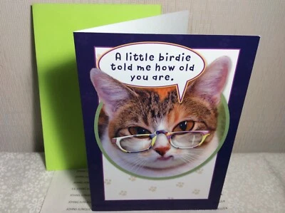 HAPPY BIRTHDAY RSVP CARD New w/Envelope “A Little Birdie told me How old..”