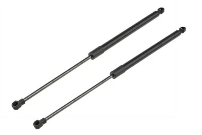 TPF PRODUCTS x2 pour CITROËN C3 II Vérin Hayon de coffre 8731T9