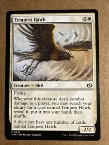 Tempest Hawk Tarkir: Dragonstorm Regular - Picture 1 of 1