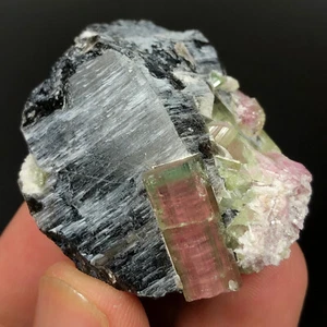 51 Grams Very Unique Quality Bi-Color Tourmaline with Quartz Specimen @ Afghan - Picture 1 of 9