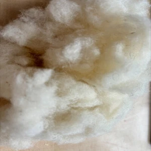 ÖKO ÜPPIGE WOLLE  - Bild 1 von 2