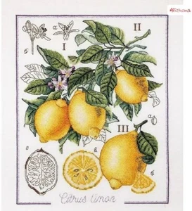 DIY Needlepoint Kit Botanical Battle Lemon Cross-Stitch Craft Set for Home - Picture 1 of 2