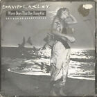 David Lasley - Where Does That Boy Hang Out - Used Vinyl Record 7 - K5783z