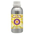 Pure Myrtle Essential Oil (Myrtus communis) 100% Natural Therapeutic Grade