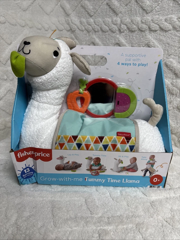 Fisher-Price FXC36 Newborn Toys Multi- damaged box - Image 1 of 4