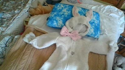 Disfraz de Conejito Niños Talla 4-6 Cremallera Frontal Capucha Blanca Cubierta de Mano Rosa Cuello/Arco *Pintura Foto 1 de 4