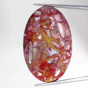 32.70Cts Natural Red Palm Root Agate Oval Cabochon Loose Gemstone 23x36x5mm - Picture 1 of 5