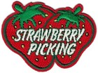 Girl Boy Cub STRAWBERRY PICKING Fun Day Trip Patches Crests Badges SCOUTS GUIDES