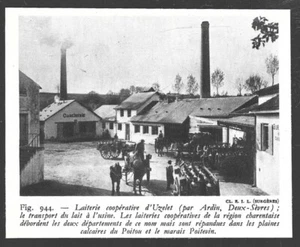 1949 -- LAITERIE COOPERATIVE D UZELET PAR ARDIN . 79 . 4C167 - Foto 1 di 1