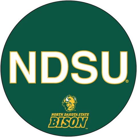 NORTH DAKOTA STATE BISON 4" BLOCK LETTER MAGNET-NDSU CAR MAGNET-NEW FOR 2016! Cover