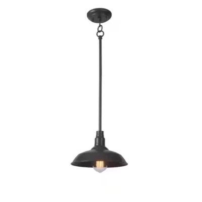 Home Decorators HDP99210BRN 10" Brown Outdoor Pendant - Image 1 of 4