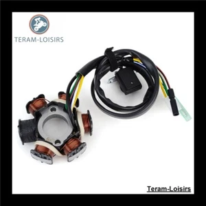 Stator Alternator For Can-Am DS 70 2X4 From 2008 To 2015 And 2017 - Picture 1 of 4