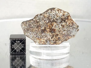 NWA 869, L3-6, 11,74g, Meteorit Endschliff, polierte Fläche, verschiedene Funktionen - Bild 1 von 9