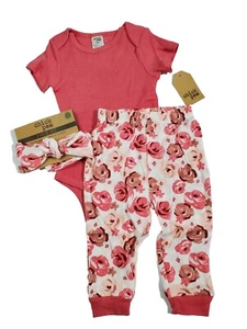 Chick Pea Infant Girls 3 Piece Set Bodysuit Floral Pants BandanaBib 6-9M - Picture 1 of 6
