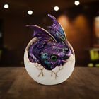 Figurine de collection fantaisie bébé dragon dans un œuf statue 4"H décoration de chambre