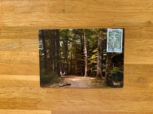 FRANCE 1976 PHQ MAXIMUM CARD FDI TRONCAIS FOREST TREES - Picture 1 of 2