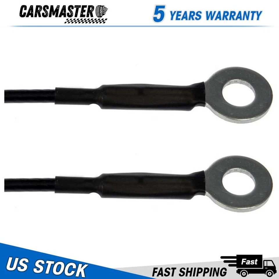 Cable de soporte para puerta trasera Dorman de 2 piezas para Toyota Tundra 2004-2006 Foto 1 de 1