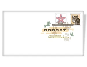 US 4802 Bobcat DCP FDC 2013 - Picture 1 of 1