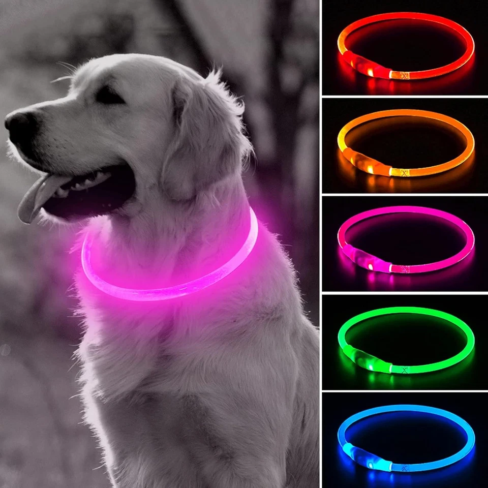 BSEEN Light up Dog Collar Rechargeable LED Dog Collar Waterproof Glowing Pet Co