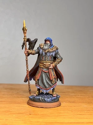 Miniatura pintada mago clérigo druida, miniatura pintada profesional D&D DND  Foto 1 de 4