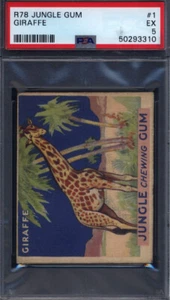 1930 R78 Jungle Gum #1 Giraffe PSA 5 - Picture 1 of 2