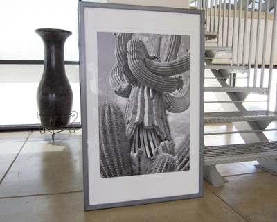 Fotografía de cactus del desierto de Arizona en blanco y negro con marco de metal formal Foto 1 de 4